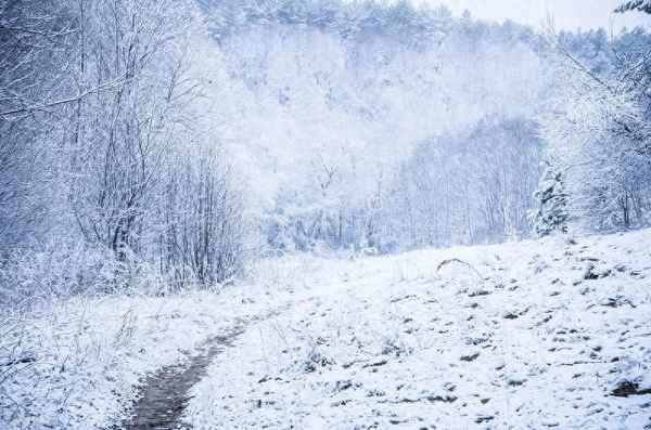 雪的古诗唐罗隐的意思-雪的古诗罗隐古诗雪视频