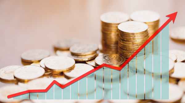 西财经网(西财财经大学)