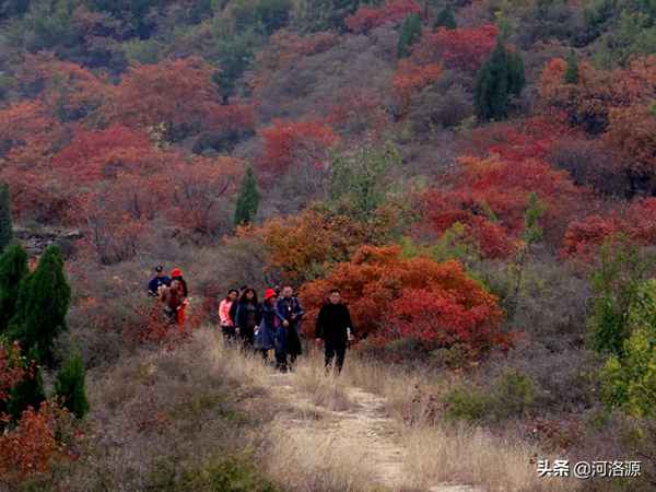 大峪溝景區(qū)一日游攻略_大峪溝景區(qū)一日游攻略圖