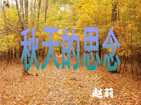 《秋天的思念》原文,《秋天的思念》原文圖片