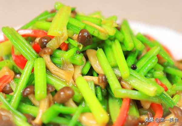 雞腿菇清淡的做法大全-雞腿菇清淡的做法大全視頻