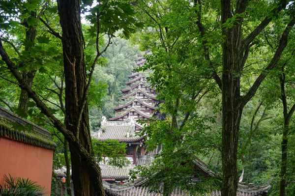 蝉噪林逾静鸟鸣山更幽的意思(蝉噪林逾静鸟鸣山更幽用的是什么修辞手法)
