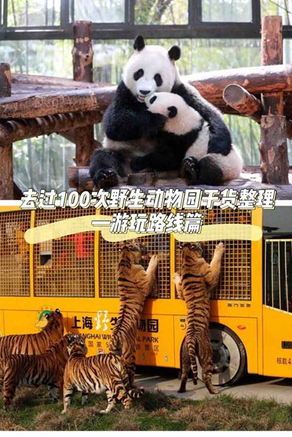 上海動物園地址及交通指南;上海動物園地址導航