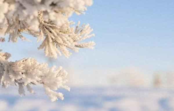 千里黄云白日曛北风吹雁雪纷纷描写(千里黄云白日曛北风吹雁雪纷纷描写的是什么因为什么)