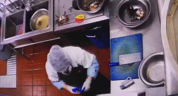 螃蟹能从盆里爬出来吗;螃蟹会从盆里爬出来吗