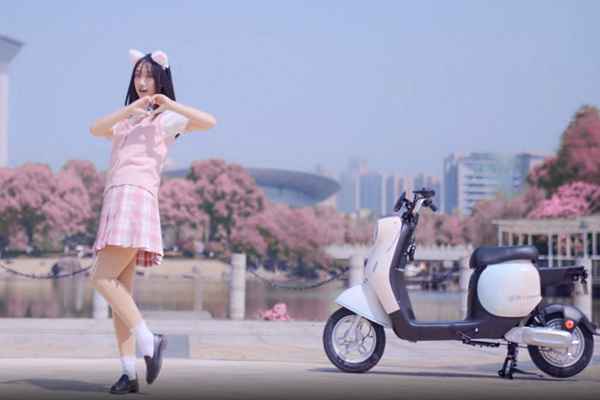 中國飛鴿自行車logo—天津市飛鴿自行車專賣店