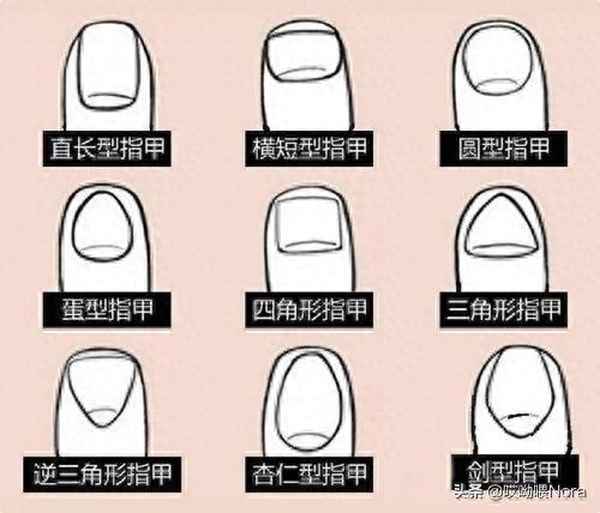 女人指甲寬大說明什么、女人指甲大有什么說法