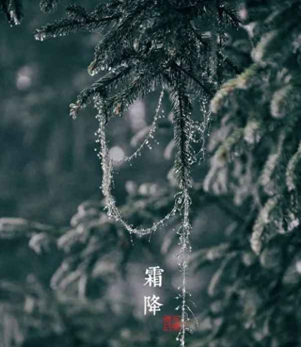 远眺天寒天寒的句子,远眺天寒天寒的句子简短