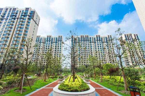 浦东公租房网上业务平台-浦东公租房网上业务平台登录