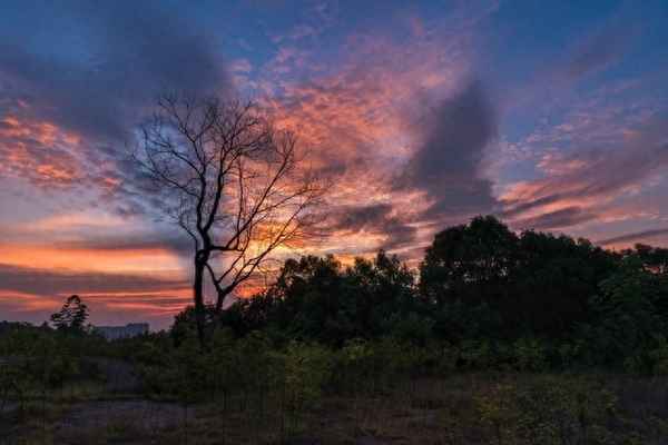 盛夏已如深秋的意思_盛夏已尽