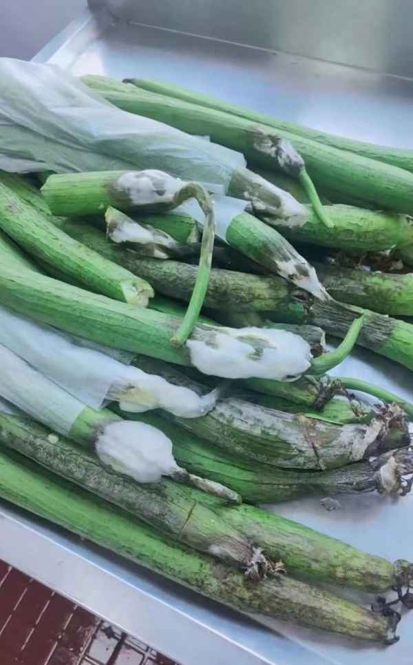 安吉教育局_安吉教育局電話投訴熱線