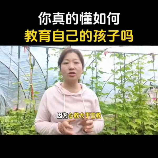 懂你教育官網—懂你教育官網手機登錄入口