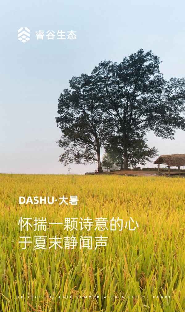 西双版纳雨林溪谷怎么样、西双版纳雨林溪谷三期