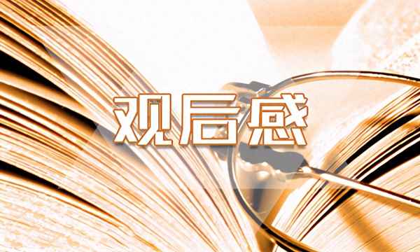 安全事故觀后感100字、安全事故案例心得體會500字