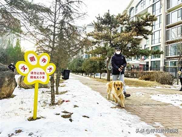 文明養(yǎng)犬溫馨提示-文明養(yǎng)犬溫馨提示簡短