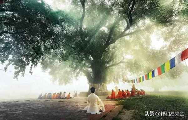 讀活法一書的員工感悟;稻盛和夫活法總結心得