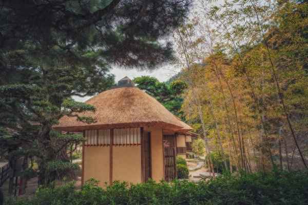 只在此山中的下一句,只在此山中的全诗