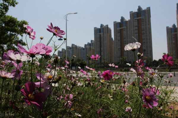海南澄迈海湾雨林业主论坛—澄迈老城海湾雨林30号楼交房时间