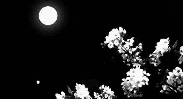 今夜偏知春气暖虫声新绿窗纱,今夜偏知春气暖出自哪里