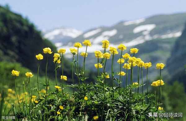 龚自珍的诗歌特点;龚自珍的诗歌创作有何特色