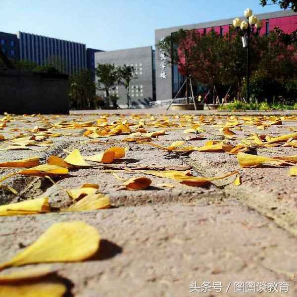 郑州财经学院排名2017_郑州财经学院排名民办第几