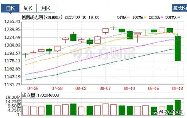 胡志明指数的最新走势图_胡志明指数etf