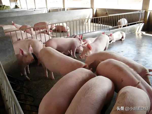 养殖财经_财经养殖技术视频直播