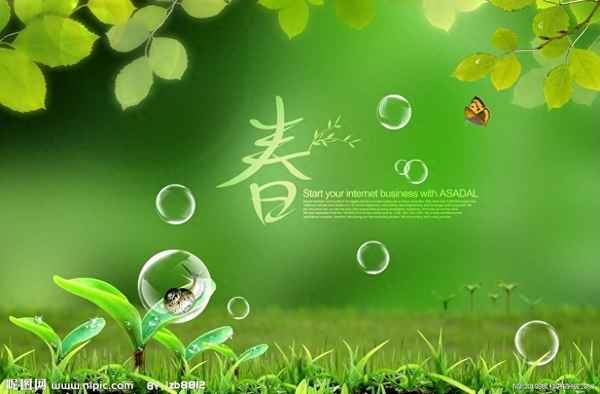 描寫(xiě)草的四字成語(yǔ)有哪些(草字四字成語(yǔ)大全)