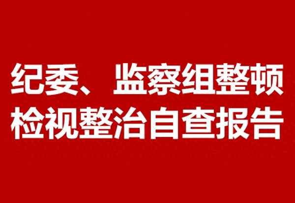 纪检干部个人自查梳理问题清单;纪检干部自查自纠问题清单