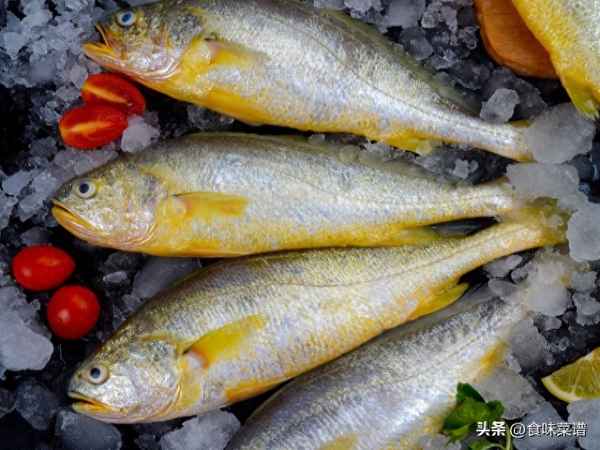 十大最好吃的清蒸海魚(yú);十大最好吃的清蒸海魚(yú)視頻