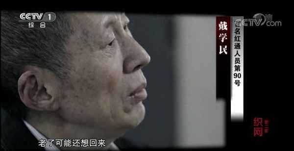 百名红通逃犯最新消息—百名红通人员完整名单