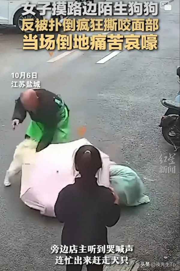 在小区里压狗责任划分、小区内车辆压到狗谁负责