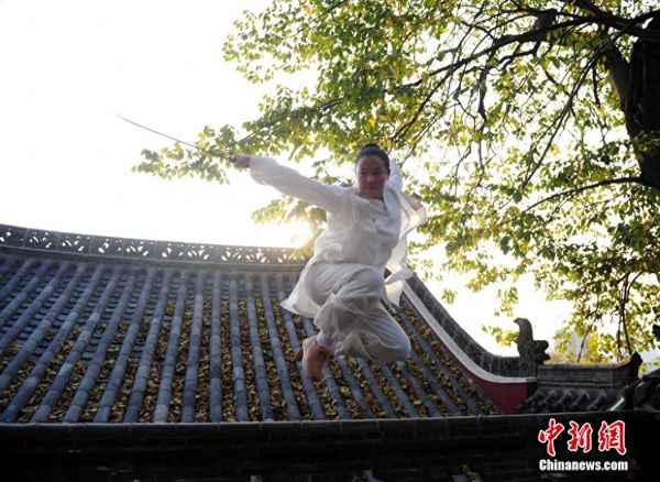 凱迪網絡之貓眼看人經濟風云、凱迪社區貓眼看人論壇