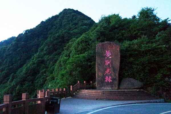 黃荊老林英文介紹;黃荊老林在哪里