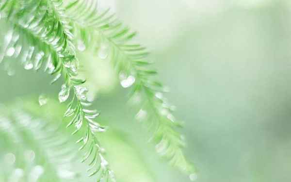 文化素质—文化素质包括哪些