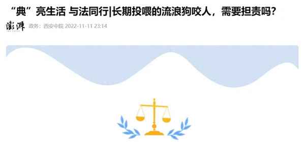 民法典关于流浪狗的规定—民法典关于流浪狗的规定最新