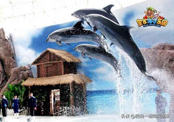 撫順海洋館好不好(撫順海洋館好不好玩)