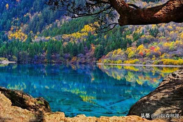 9月下旬九寨沟景色如何,9月底九寨沟漂亮吗