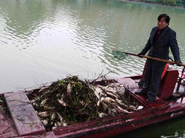 死魚沒有及時(shí)撈出來(lái)_魚死了沒有及時(shí)撈出來(lái)