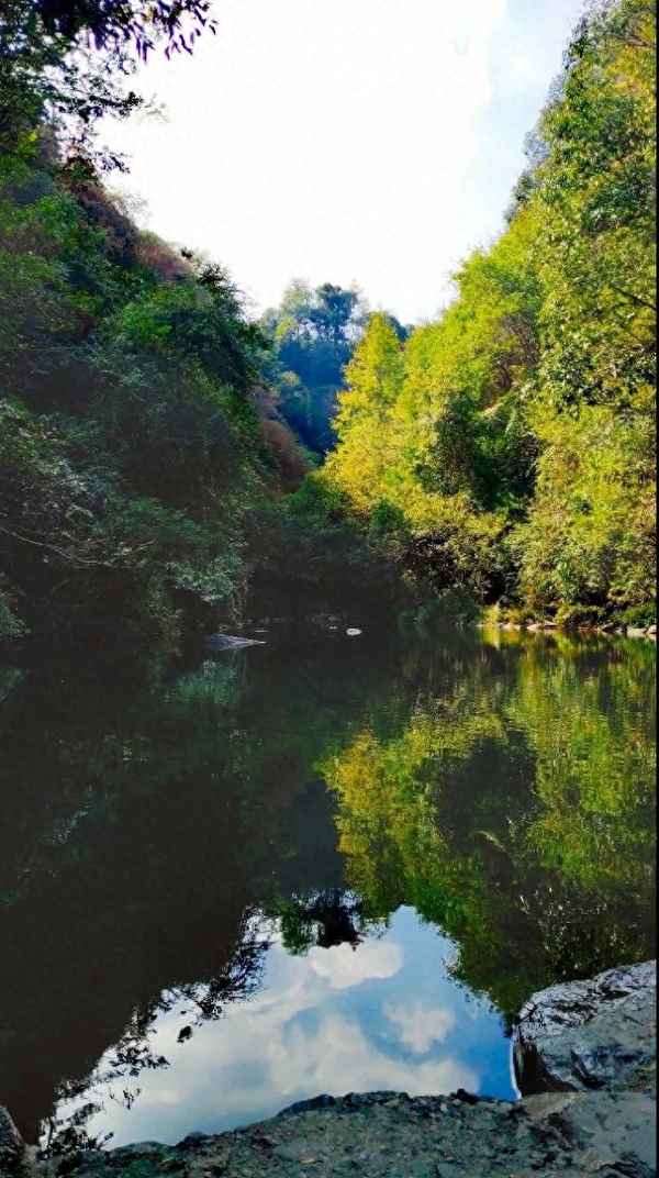 醉山野和牯牛降哪個好玩、牯牛降野山珍