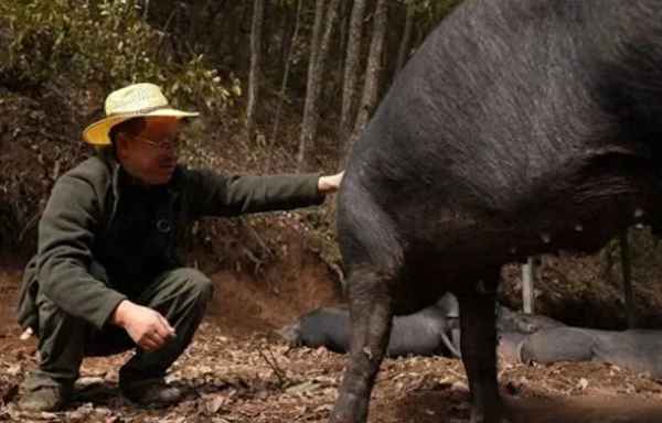 猪肉店还能卖什么、肉店还可以卖什么