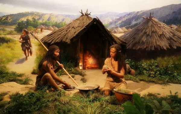 母系氏族文化_母系氏族文化代表