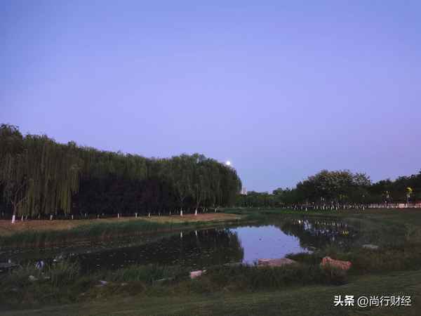 每日财经观点,每日财经点评