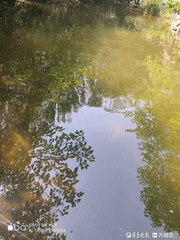 人间至美问渠哪得清如许(人间至美内容提要)