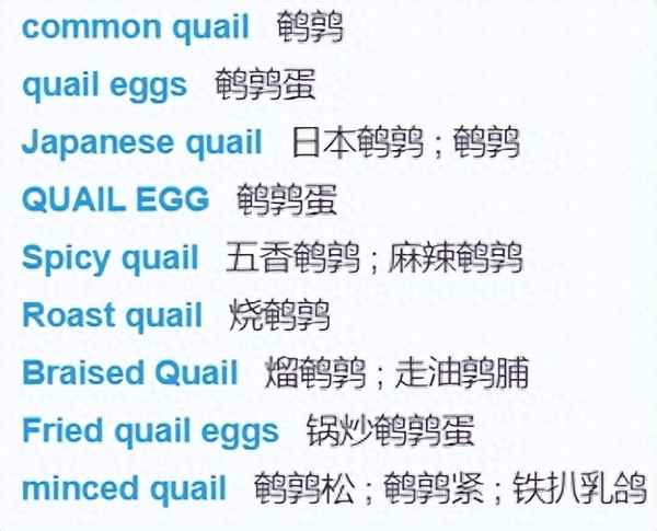 尺子英語書寫格式圖片;尺子英語的手寫字體怎么寫