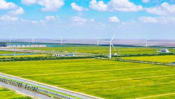 正大财经—正大财经期货直播间