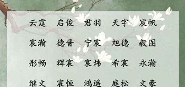 以書香文化為主題的名稱—國學底蘊的名字