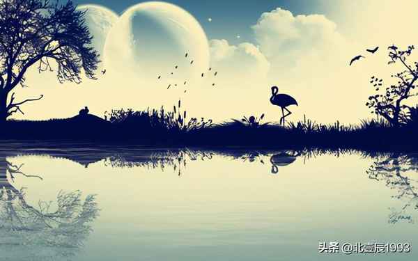 壹辰财经、壹辰集团