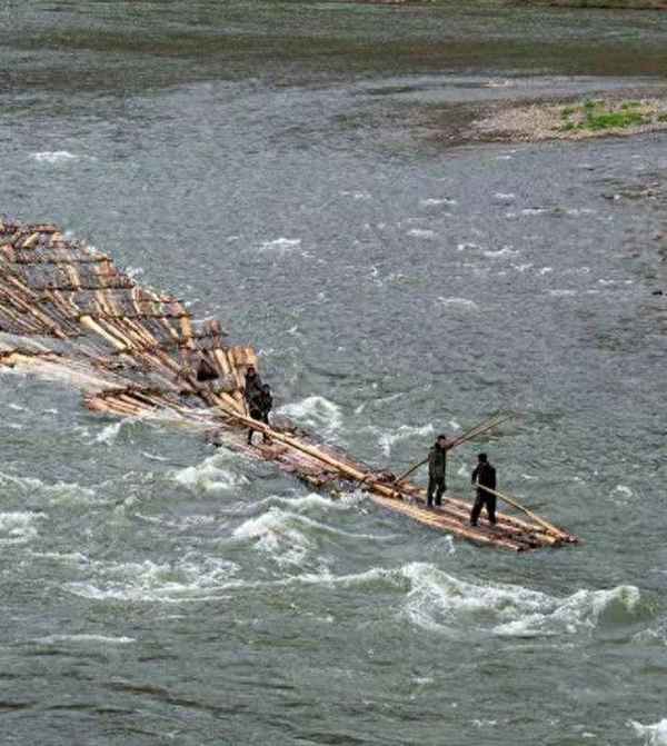 绿影婆娑后面一句(婆娑形容什么花)