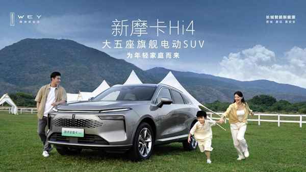 4萬以下的純電動汽車—4萬以內(nèi)純電動車